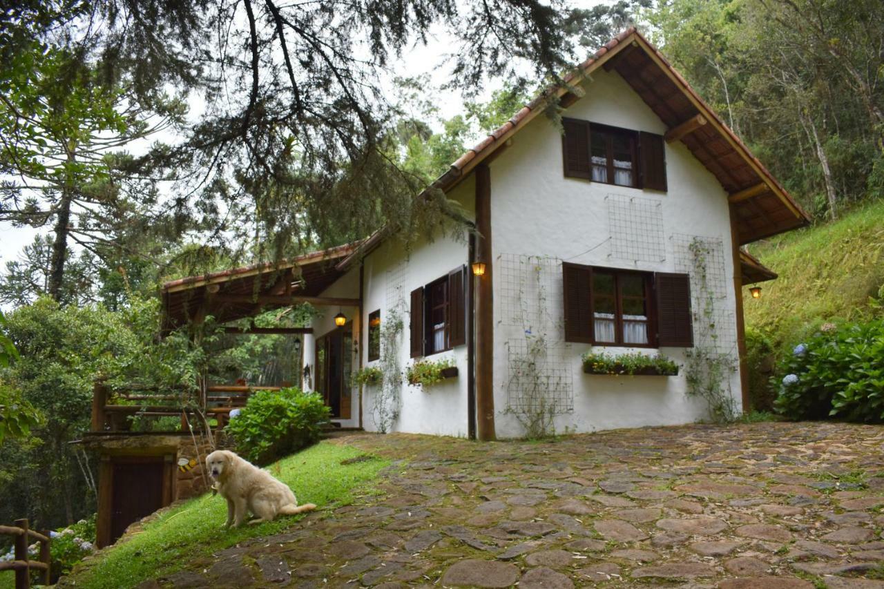 הוילה קונה Chalet Da Hortensias מראה חיצוני תמונה